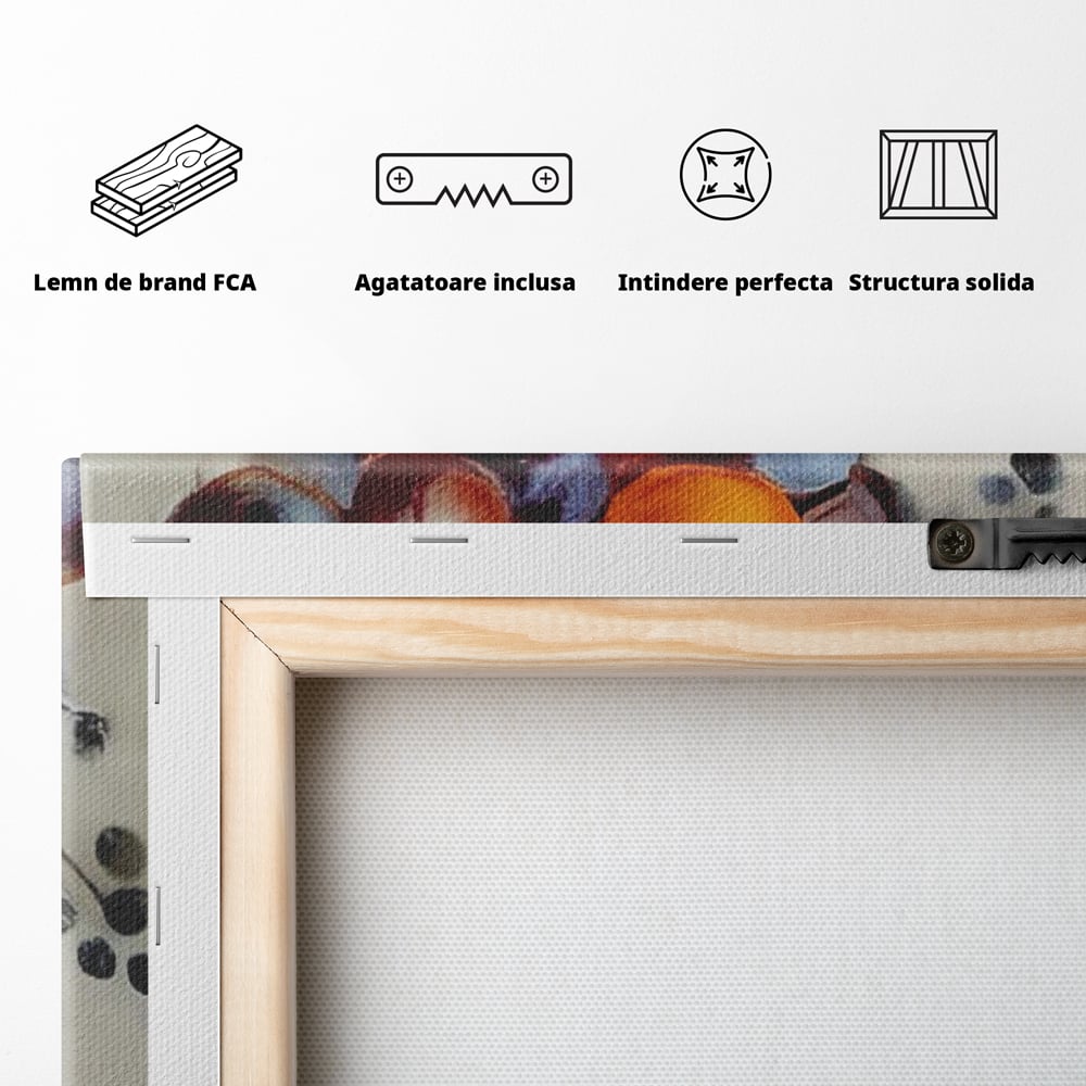 Spatele produsului, cu sasiu din lemn, capse metalice si agatatoare